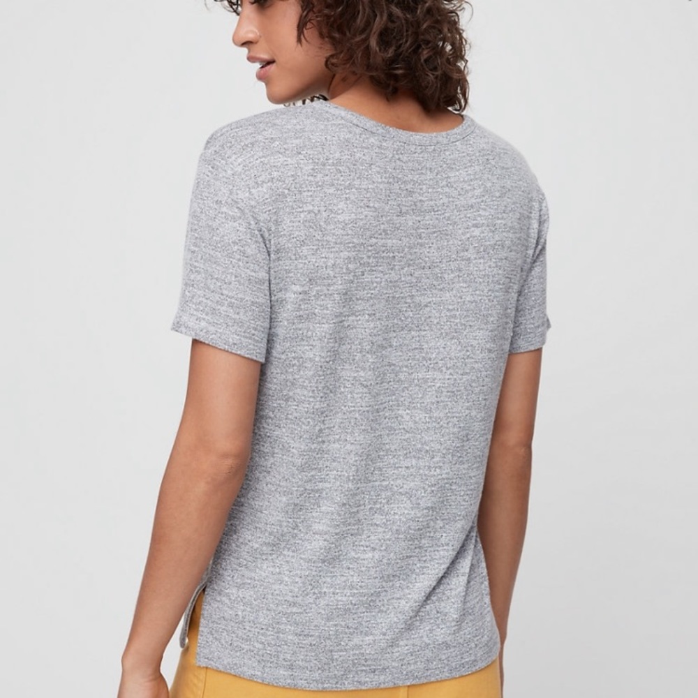 Aritzia Wilfred free divina T-shirt (burgundy/grey